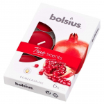 L&Otilde;HNA-TEEK&Uuml;&Uuml;NAL BOLSIUS 4H, GRANAAT&Otilde;UN 6TK PAKIS