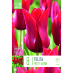 LILLESIBUL KAPITEYN LIILIA&Otilde;IELINE TULP "PIETER DE LEUR"