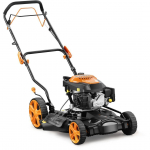 MURUNIIDUK CLINT CL-51FWD ESIVEDU 146CM3