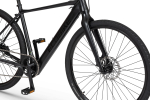 Meeste elektriline linnajalgratas Ecobike Urban Plus 10 + 7 Ah 601Wh