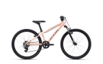 Noorte jalgratas CTM Rocky 1.0 24", matt heleroosa