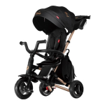 Laste kolmerattaline jalgratas Qplay Nova Air Gold