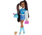 Nukk Mattel Barbie HYC22 Dream Besties Brooklyn