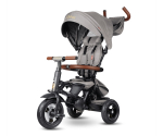 Laste kolmerattaline jalgratas Qplay Rito Deluxe Grey