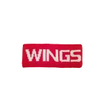 MITCHELL & NESS Detroit Red Wings peapael H316Z