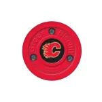 GREEN BISCUIT Calgary Flames treeninglitter