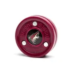 GREEN BISCUIT Arizona Coyotes j&auml;&auml;v&auml;line treeninglitter