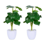kunsttaim Monstera komplektis 2 tk