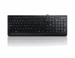 Klaviatuur Lenovo 300 USB Keyboard, EN