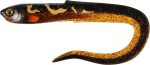 Pehmed landid Fox Rage Slick Eel, 21 cm, UV Burbot, 20 tk