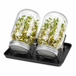 Idandamisepurkide komplekt Relaxdays, 2 tk, 10 &times; 16,5 cm