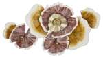 Dekoratiivne seinapaneel Mauro Ferretti Clow, 92,1 &times; 51,4 &times; 8,3 cm