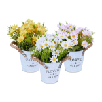 Kunstkr&uuml;santeemide komplekt Relaxdays 10045549.0, 3 tk, 20 &times; 15 cm