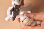 Koerte k&uuml;&uuml;netangid PETKIT LED Light Nail Clipper