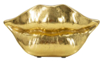 Vaas Mouth Lip, 23 &times; 12 &times; 8 cm