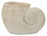 Vaas Shell Sand A, 33 &times; 23 &times; 19 cm
