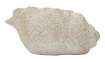Vaas Shell Sand B, 35 &times; 18 &times; 23 cm