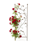 Linnumotiiviga ronitaimev&otilde;re Relaxdays 10053234.0, linnumotiiviga, 50 &times; 150 &times; 1 cm