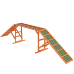 Koerte agility sild PawHut 325x55x69cm, erinevates v&auml;rvitoonides
