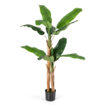 Kunstbanaanipalm, koos potiga