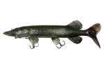 Pehmed landid Fox Rage Ultra Natural Pike Replicant, 40 cm