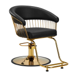 Juuksuritool Hair System Lille