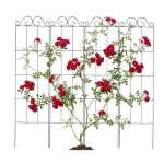 Roosiv&otilde;red Relaxdays 10053007.0, 4 tk, 30 &times; 116 &times; 0,5 cm
