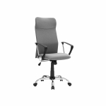 Ergonoomiline kontoritool, hall