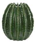 Vaas Cactus Ball, &Oslash; 28 &times; 31 cm