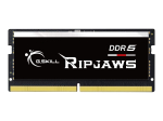 Operatiivm&auml;lu moodul G.Skill Ripjaws, 1 &times; 32 GB