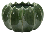 Taimepott Cactus Basket, &Oslash; 22 &times; 13,5 cm