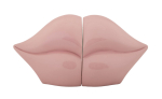 Raamatutoed &bdquo;Bocca&ldquo;, 2-osaline komplekt, Roosa, 27 &times; 13 &times; 9 cm
