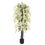 Kunstvisteria p&otilde;&otilde;sas, &Oslash;24 &times; 165 cm