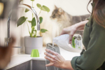 Vaibapuhastusvahend Bissell PET Spot and Stain Portable Carpet Cleaning Solution
