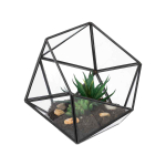 Klaasterraarium Relaxdays 10050354_46, 17 &times; 16 &times; 20 cm
