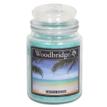L&otilde;hnak&uuml;&uuml;nal Woodbridge, Crystal Waters, &Oslash; 10 &times; 17 cm