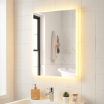 LED-vannitoa peegel, Horisontaalne v&otilde;i vertikaalne paigaldus, H&otilde;bedane, 70 &times; 50 &times; 3 cm