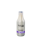 Stapiz Sleek Line Violet Blond &scaron;ampoon heledatele juustele, 300 ml