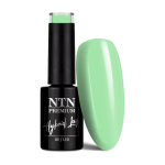 Pikaajaline geellakk NTN Premium 179, 5 g