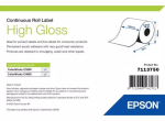 Iseliimuv printerisilt EPSON HIGH GLOSS LABEL 12 cm x 33 m