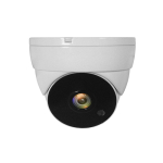 IP-kaamera LEVELONE ACS-5302 kuppelvalvekaamera, FHD 1080P, valge