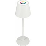 RealPower LED-RGB laualamp reguleeritava heledusega akuga, white