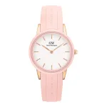 Naiste k&auml;ekell DANIEL WELLINGTON DW00100532 32 mm, roosa