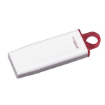 M&auml;lupulk KINGSTON DATATRAVELER EXODIA 256GB, valge