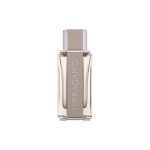 Salvatore Ferragamo Ferragamo Bright Leather tualettvesi meestele 100 ml