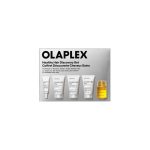 The Healthy Hair Discovery Set