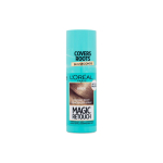 Instant Root Concealer Spray