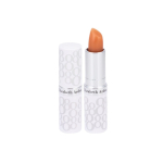 Lip Protectant Stick