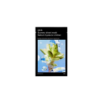 Sedum Hyaluron Sticker 27 ml