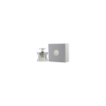 Platinum 100 ml